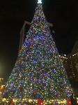 kerstboom vancouver