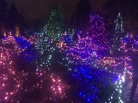 lichtbos
