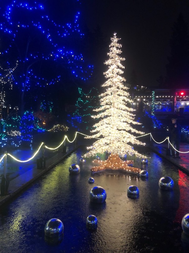 water tree