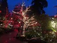 christmas lights