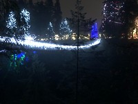 suspension bridge