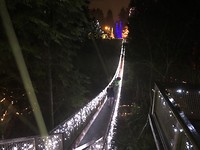 suspension lights