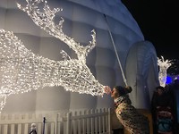 rudolf kiss
