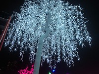 light tree