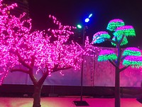 chinees light trees
