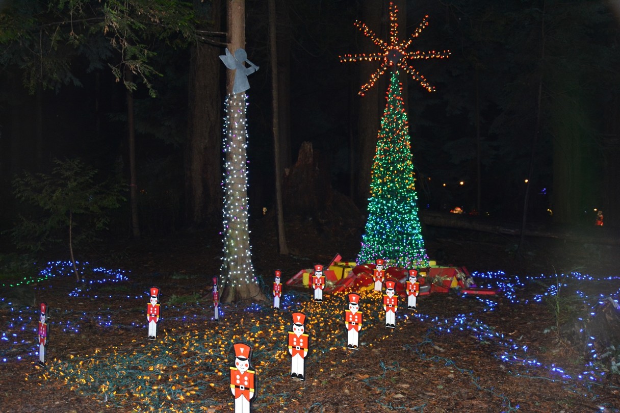 tree