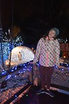 pinguin style