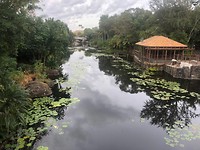 asia animal kingdom