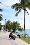 miami life