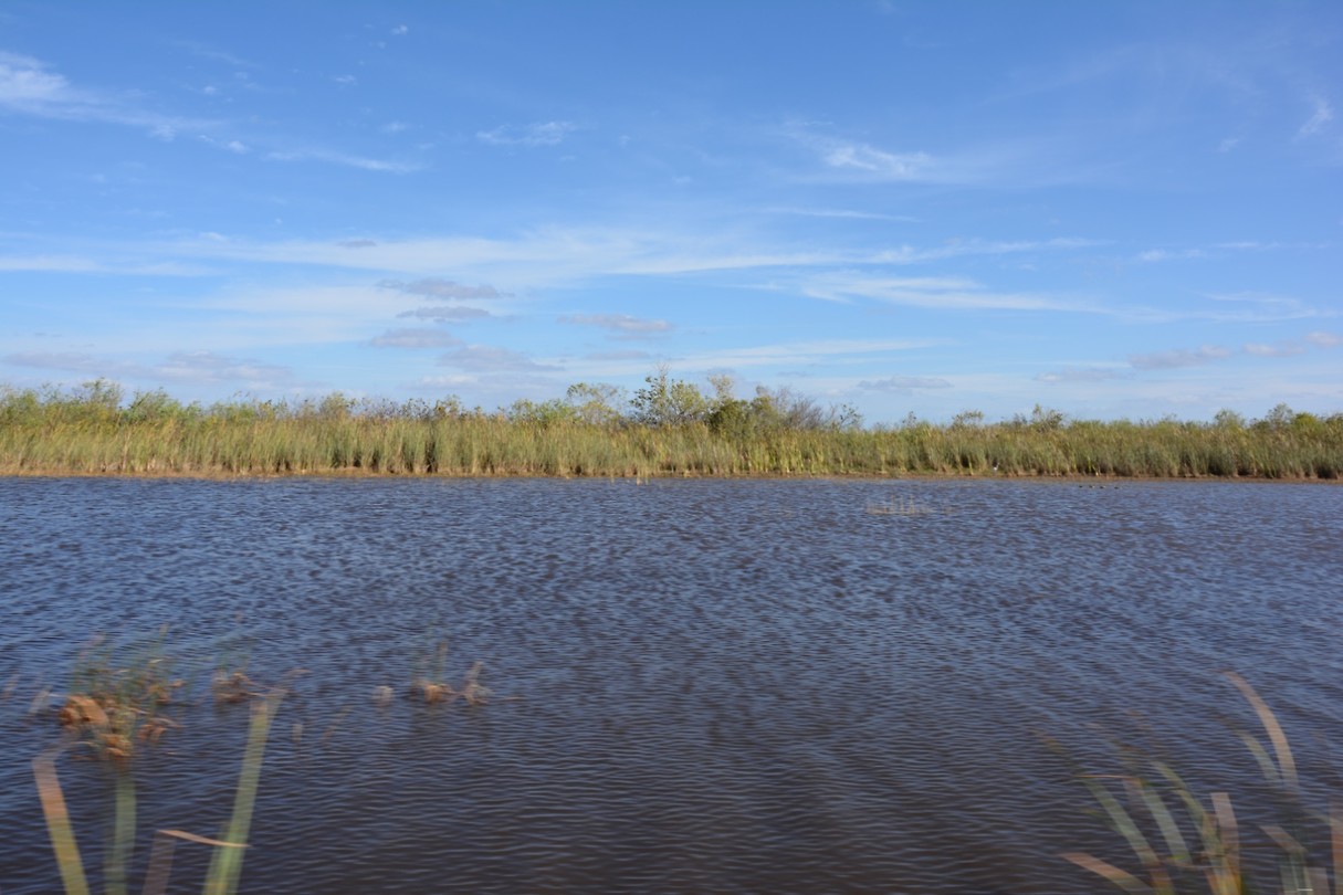 everglades river