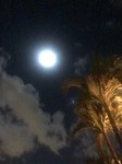 rooftop moon