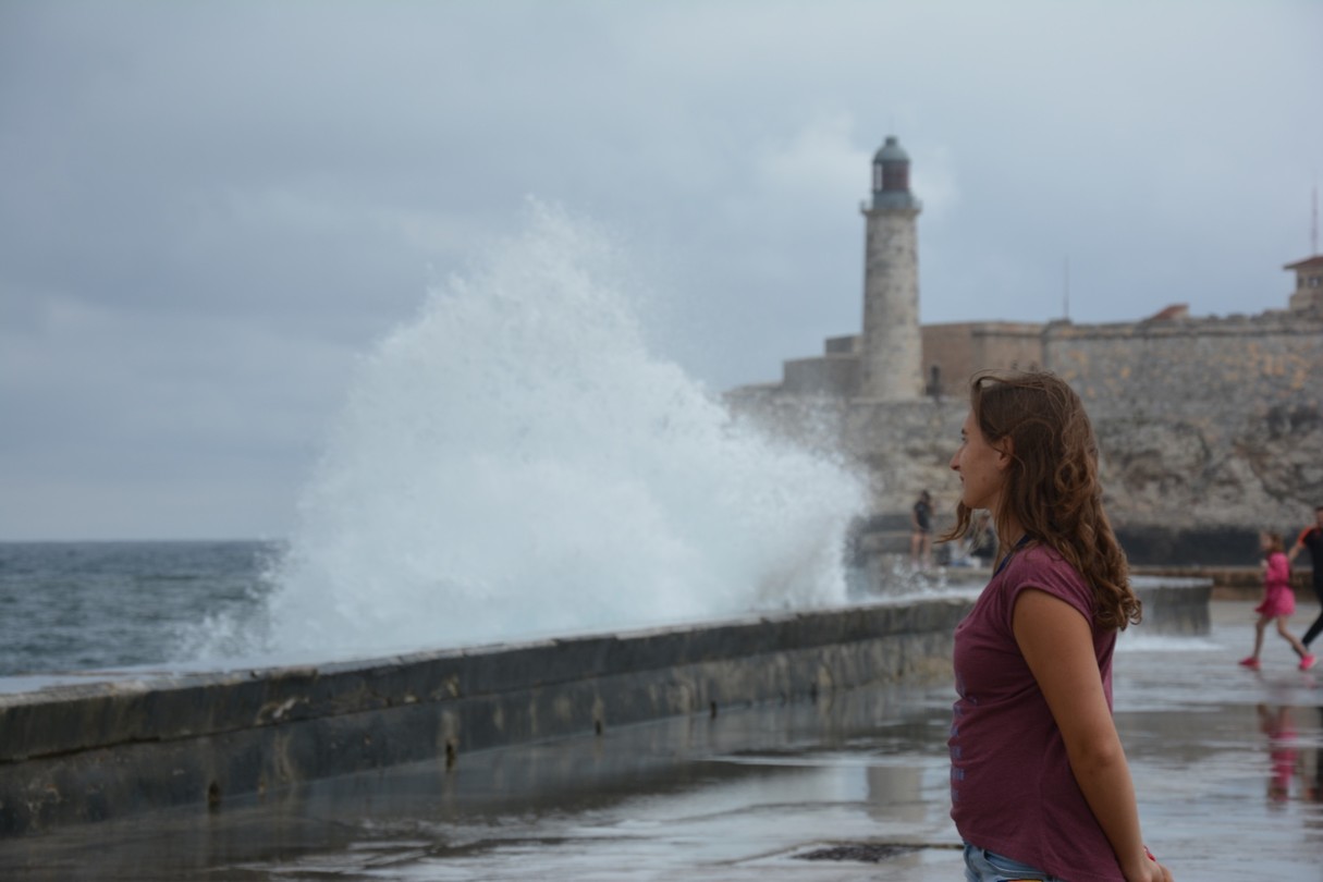 bewonder de waves