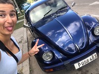 beetle