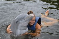 hug the dolphin