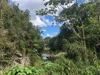 el nicho bossen