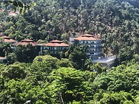 american institute