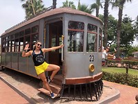 zoo train