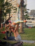 love to fly