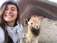 lamaselfie
