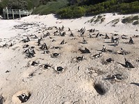 boulder beach
