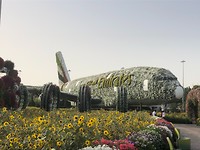 magical garden flight