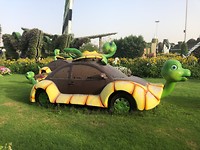 beetle turtle