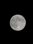 full moon