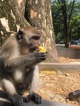 IMG_9091