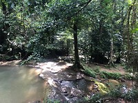 IMG_9230