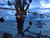 IMG_9828