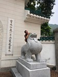 IMG_2231