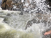 IMG_1959