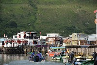 DSC_9875