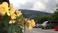 DSC02203