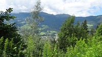 DSC02206