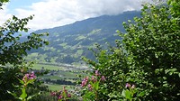 DSC02207