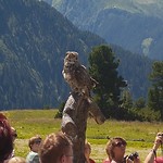 20170717_144215