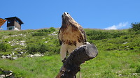 DSC02226