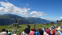 DSC02229