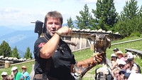 DSC02232
