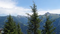 DSC02274