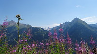 DSC02275