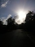 morning run