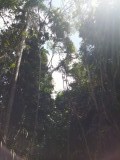 rivier wandeling