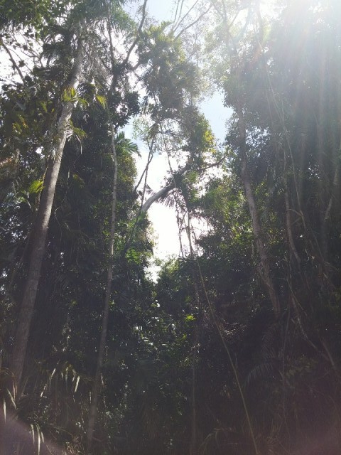 rivier wandeling