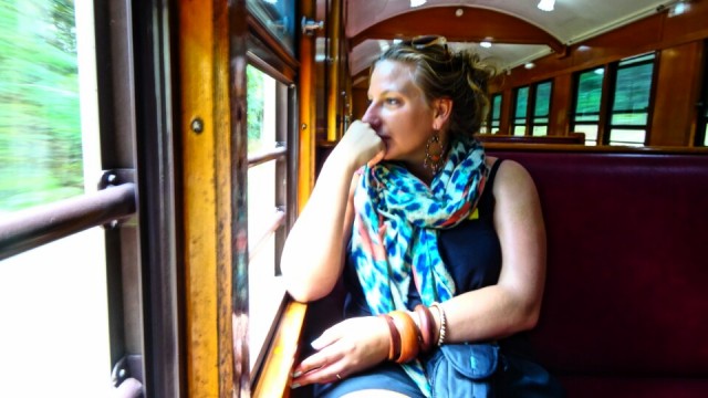 on the train
