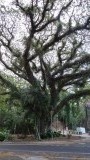 wandeling cairns