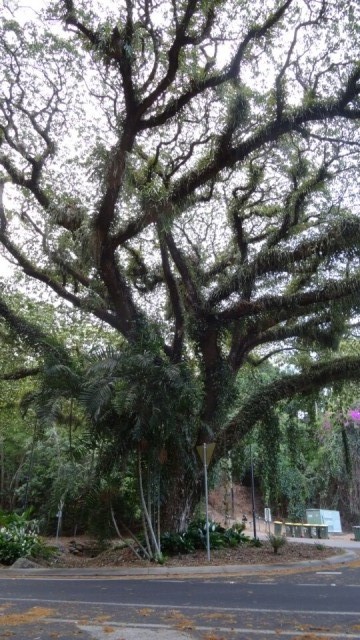 wandeling cairns