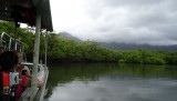River (croc) cruise