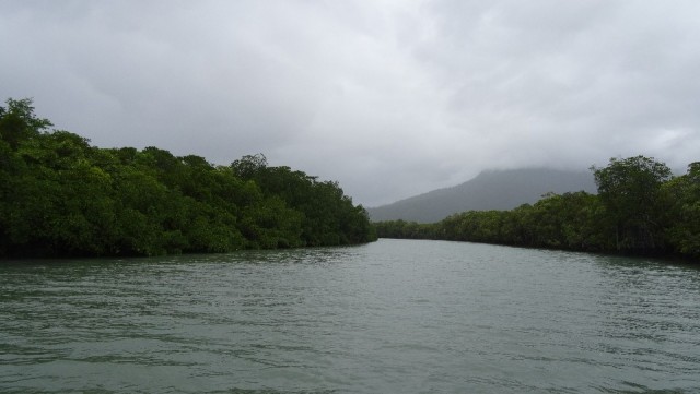River (croc) cruise